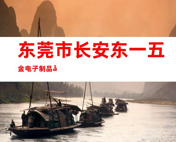 东莞市长安东一五金电子制品厂