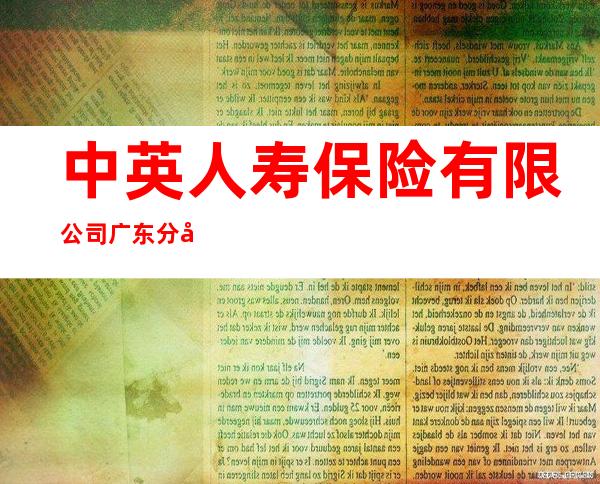 中英人寿保险有限公司广东分公司深圳营销服务部
